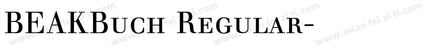 BEAKBuch Regular字体转换